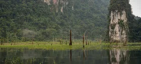 Hai Phong